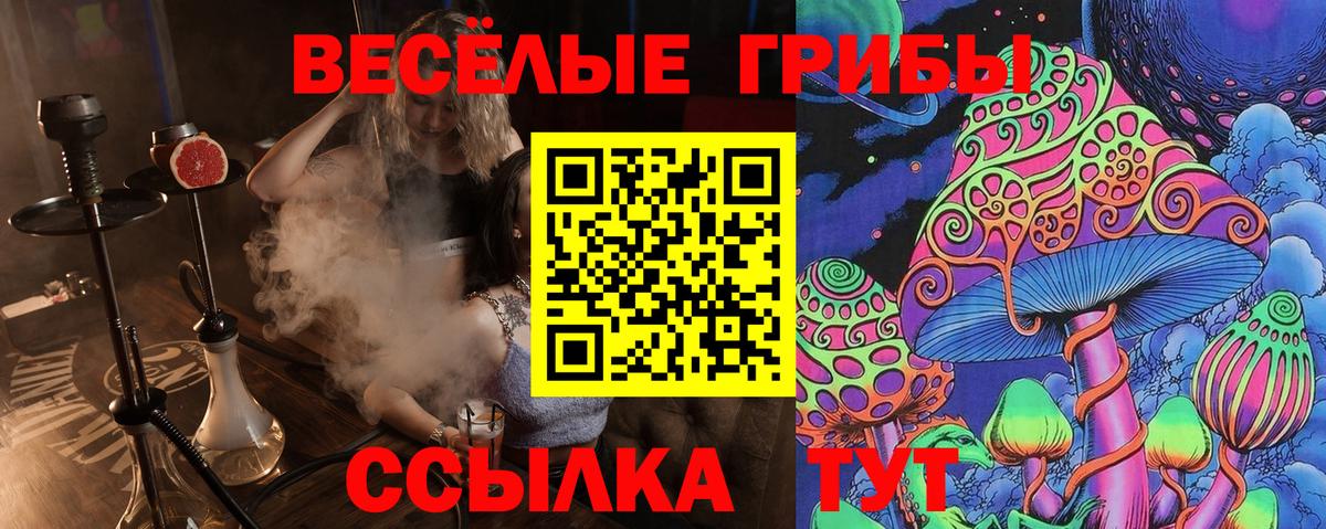 Галлюциногенные грибы мухоморы Можга