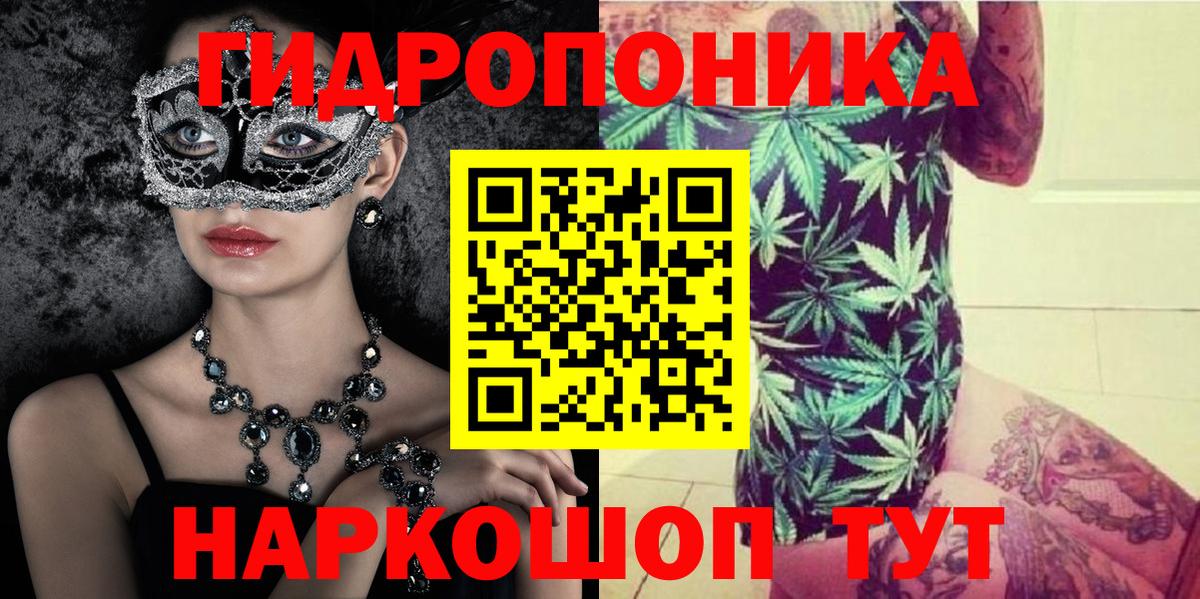 Бошки марихуана конопля  Марихуана марихуана  Конопля индика  Можга  Вход с VPN 